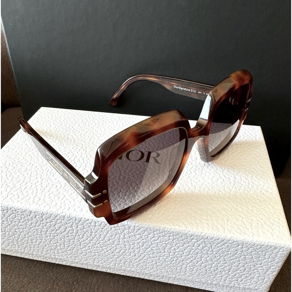 DIOR EYEWEAR DiorSignature S1U sunglasses